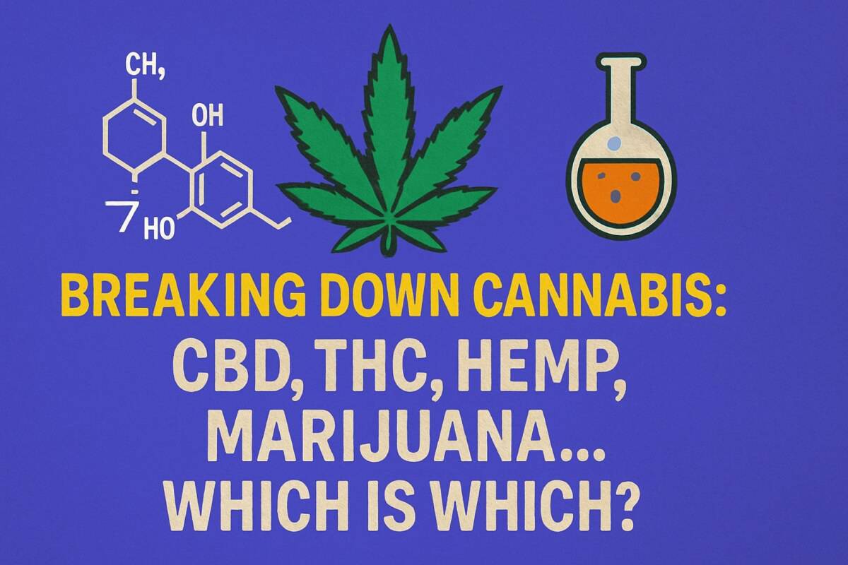 Breaking Down Cannabis: CBD, THC, Hemp, Marijuana… Which Is Which