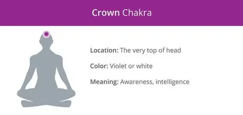 Are Chakras Real? Origin Of The Chakras