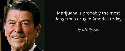 REGAN1 Why Is Cannabis (still) Illegal in the United States ?