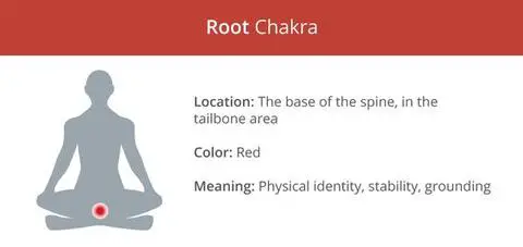 From Myth to Science: Unveiling the True Origins of Chakras