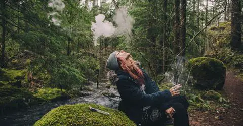 Smoking weed in the woods relax paranoid anxiety cannabis Why Does Weed Make (Some) People Feel Paranoid ? Cannabis Explained
