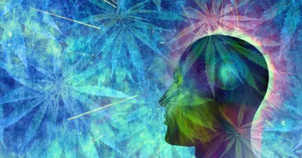 cannabis and consciousness - the conscious vibe
