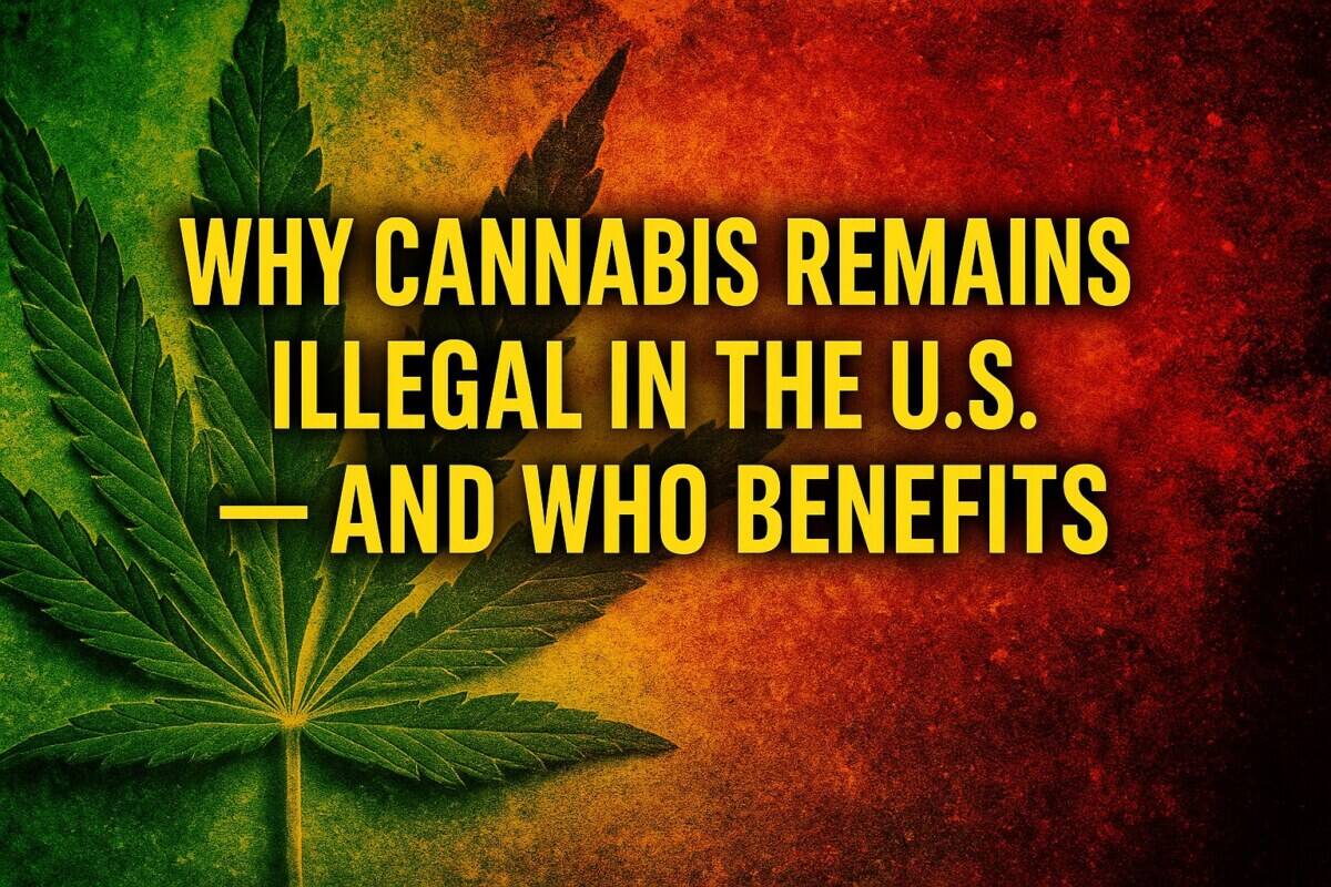 Why Cannabis Remains Illegal in the U.S. — and Who Benefits