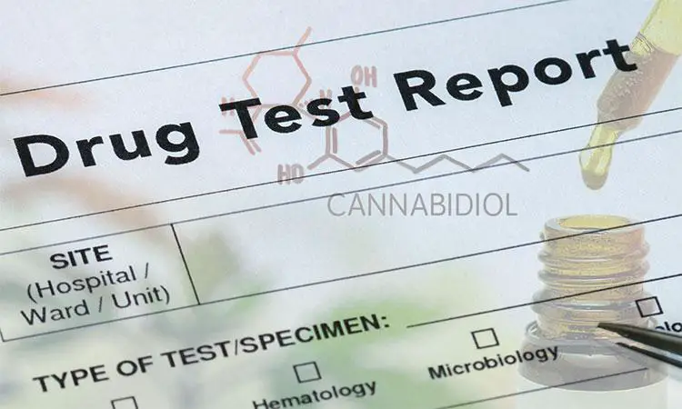 Will CBD Show Up On A Drug Test the Conscious Vibe 750x 1 This Is The Reason Why CBD (Might) Show Up On Your Drug Test ?