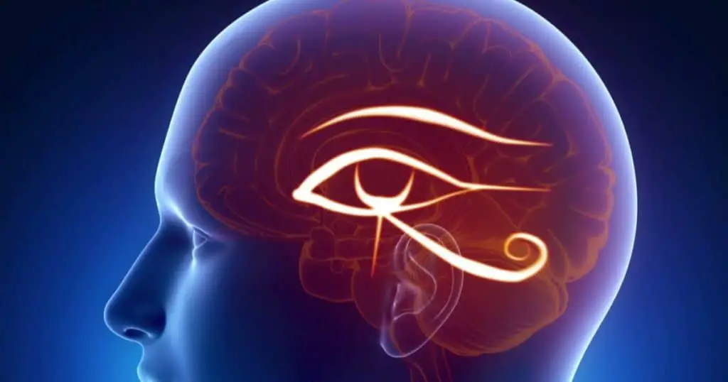 ancient egyptian pineal endocrine gland vs pitutary gland chakra third eye science the conscious vibe 1200x How to Tell the Eye of Horus From the Eye of Ra