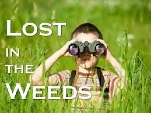 caught up in the weeds Here's What It Means to See the Big Picture (and how it can benefit you)