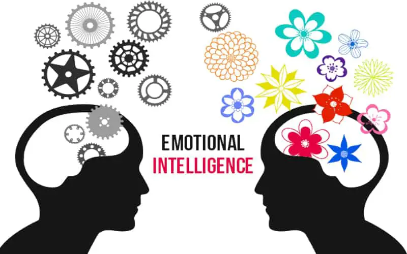 emotional intelligence the conscious vibe eq vs iq explained Is EQ a Real Thing? Emotional Intelligence Explained