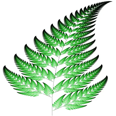 leaf fractal Fractal Examples: Paterns In Nature