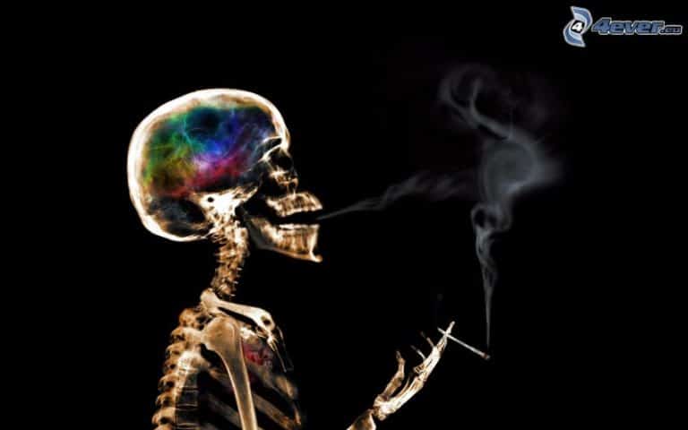 The Future of Addiction Treatment? CBD and Psilocybin Are Showing Real Promise