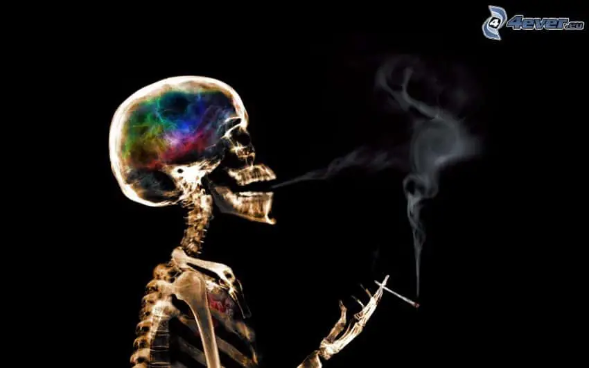 skeleton smoke smoking 162911 Using Psilocybin and CBD To Quit Addictions