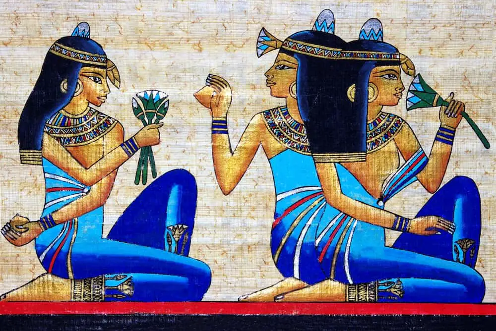 The Blue Lotus - ancient Egyptian culture civilization psychedelics - the conscious vibe