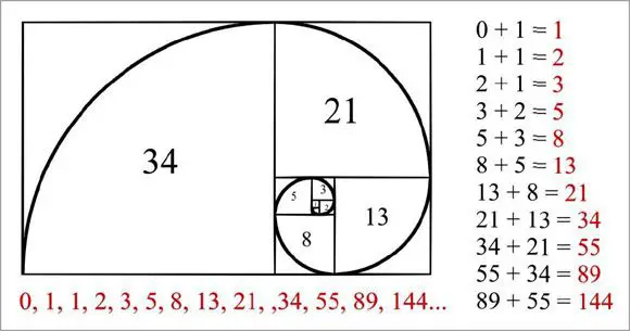 bc19897456b11ebe76f9a7187d40c33e fibonacci spiral fibonacci sequence in nature Here’s What All The Yoga Symbols Mean (From ‘Namaste’ to ‘Om’)