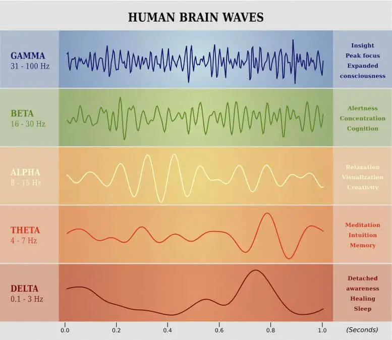 The Conscious Vibe Human Brain Waves Chart 777x674 1 What is Consciousness? Defining Consciousness