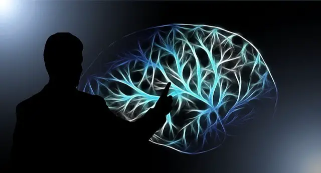 brain 3141247 640 Subconscious vs Unconscious Mind: Control & Difference