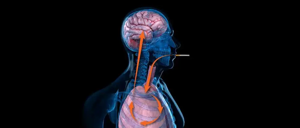 Using Psilocybin and CBD To Quit Smoking Cigarettes: New Age Addiction Killers in 2022