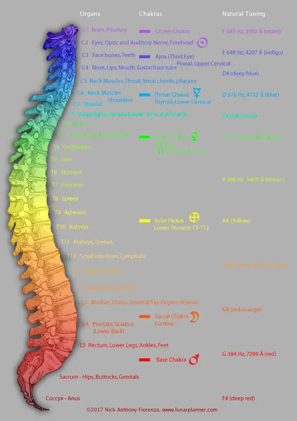 chakras the conscious vibe real true exist chakras are they do Are Chakras Real? Origin Of The Chakras