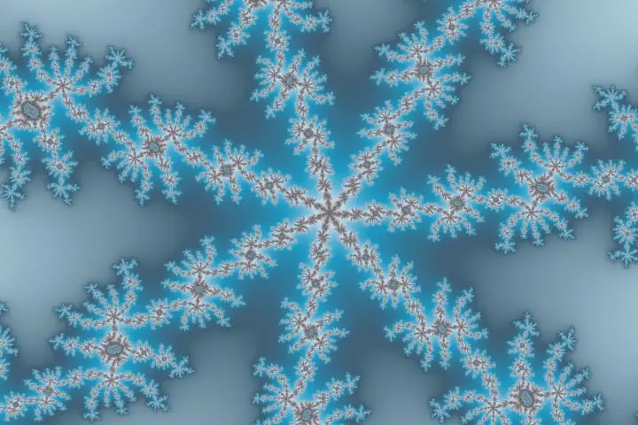 let it snow 866 720 480 Fractal Examples: Paterns In Nature