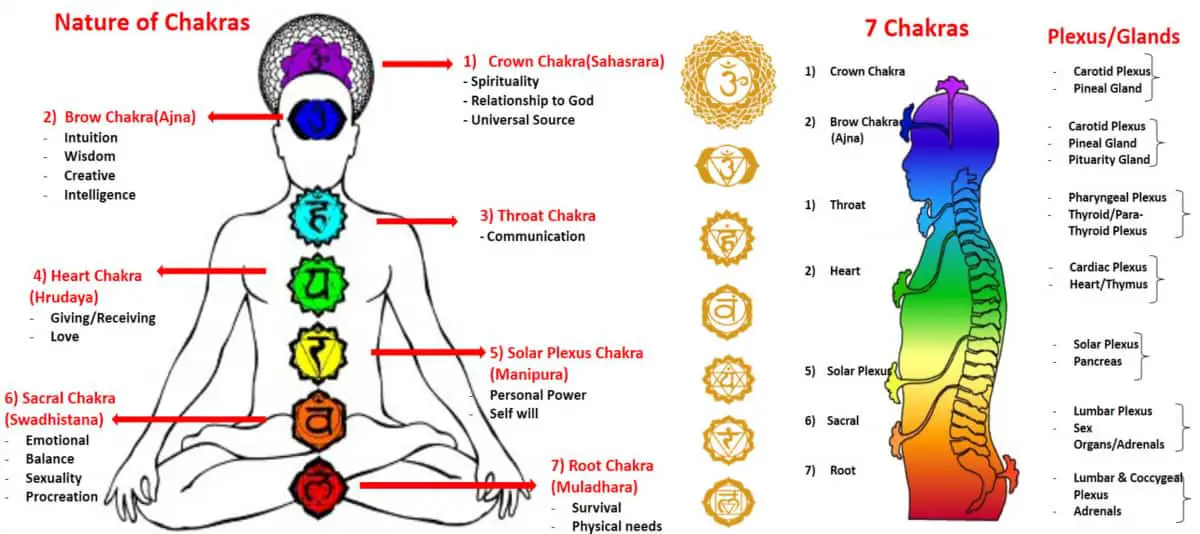 origin of are chakras real science the conscious vibe yoga vedas The Origin Of The Chakras - Where They Come From