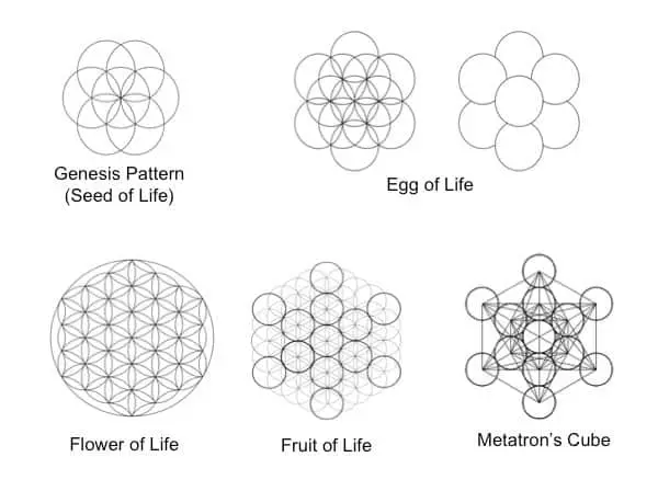 seed of life egg flower the conscious vibe Archangel Metatron's Cube: History, Origin & Symbolism