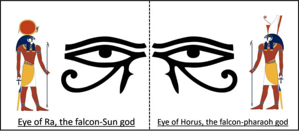 Eye of Ra the falcon Sun god Eye of Horus the falcon pharaoh god 1 How to Tell the Eye of Horus From the Eye of Ra