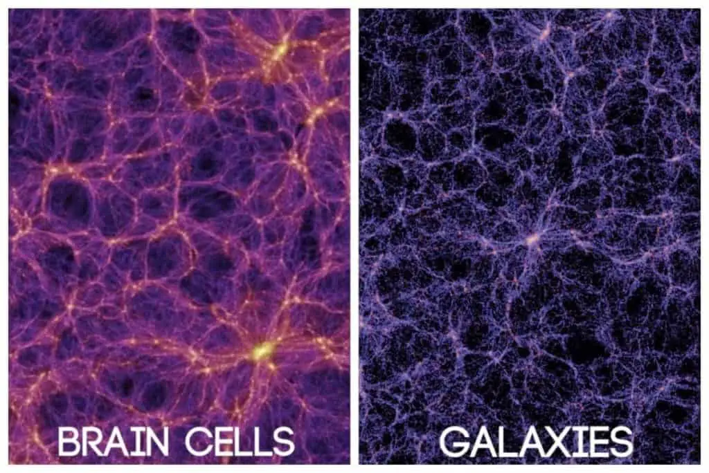 brain cell galaxy Are Humans Fractals? Biology and Behavior (multiple studies)
