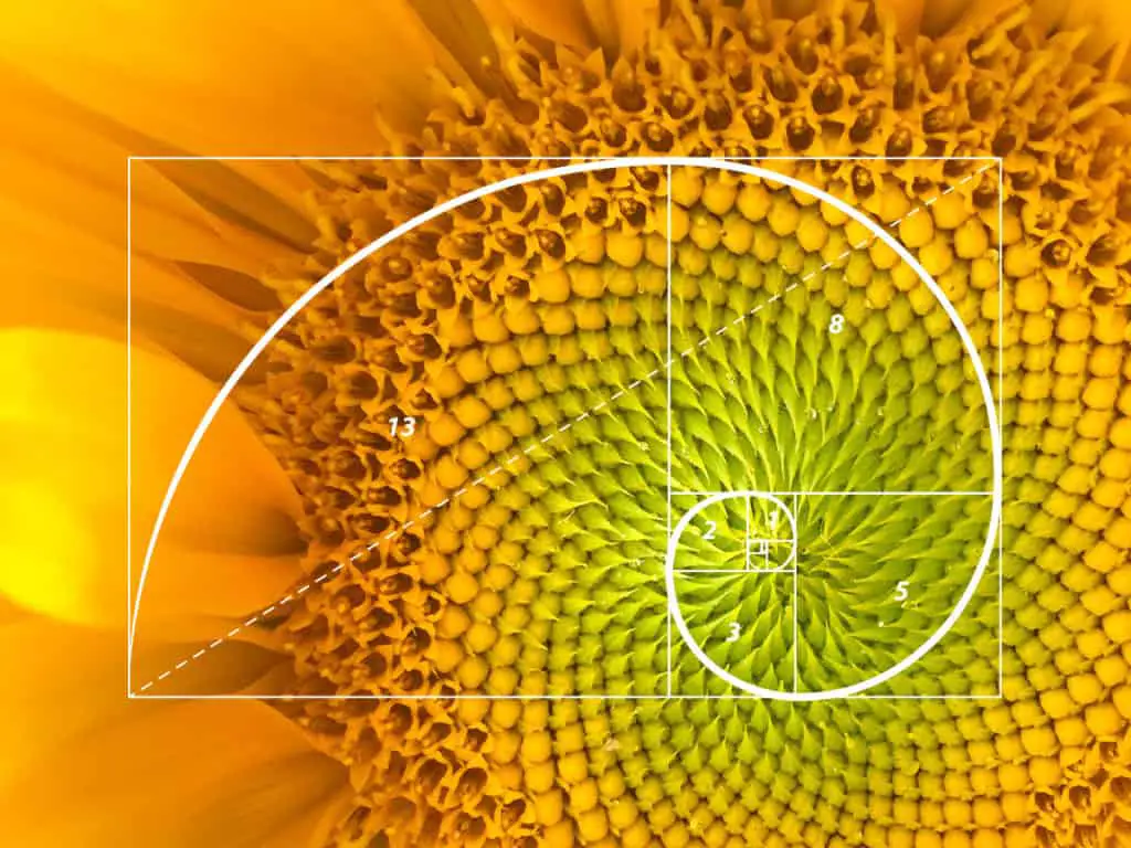the golden ratio teaser Unlock Sacred Geometry: Symbols & Uses