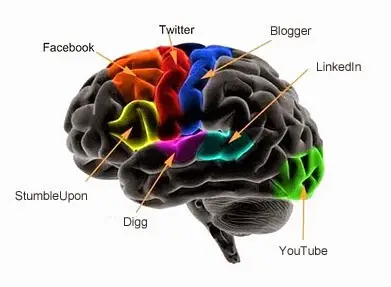 brain1 How Does Social Media Affect Our Consciousness?