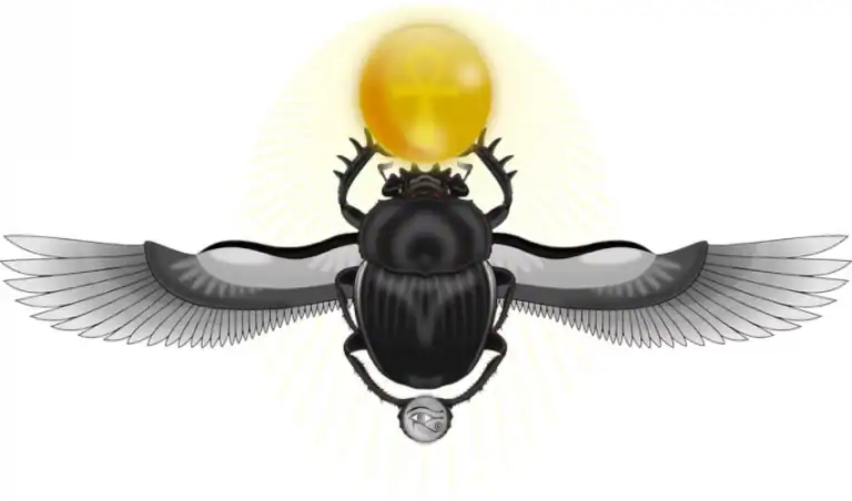 Unlocking the Scarab Beetle: Meaning & Mythology
