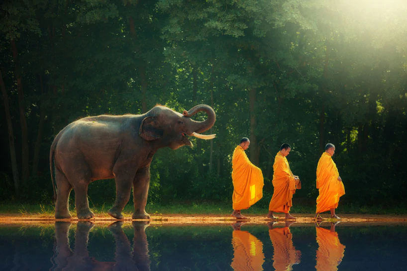 Elephant Spiritual Meaning Elephant Symbolism Elephant Symbolism: Unlocking the Secrets