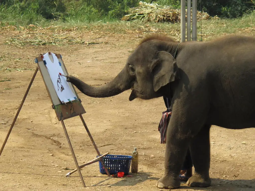 a14ad elephant painting rare photos Elephant Symbolism: Unlocking the Secrets