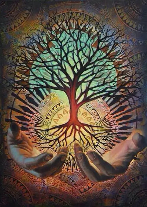 Tree of life meaning symbolic representation the conscious vibe Tree of Life Symbol: Meaning & Origin