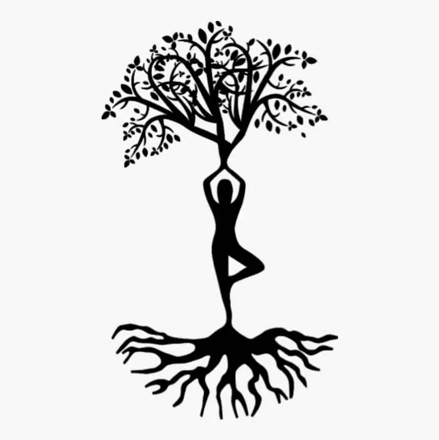 Yoga Tree of Life pose meaning symbolism the conscious vibe 1 Tree of Life Symbol: Meaning & Origin