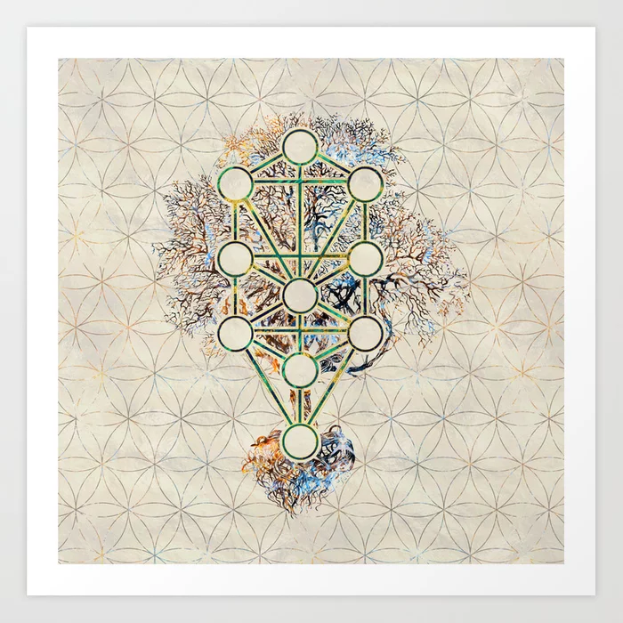 kabbalah the tree of life flower metatrons cube meaning symbolism the conscious vibe Tree of Life Symbol: Meaning & Origin