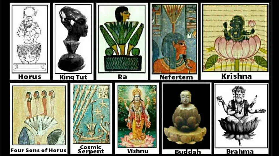 Lotus Flower Ancient cultures origin meaning edited The Lotus Flower: The True Origin & Meaning
