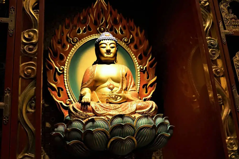 buddha lotus flower The Lotus Flower Meaning | Symbolism & History