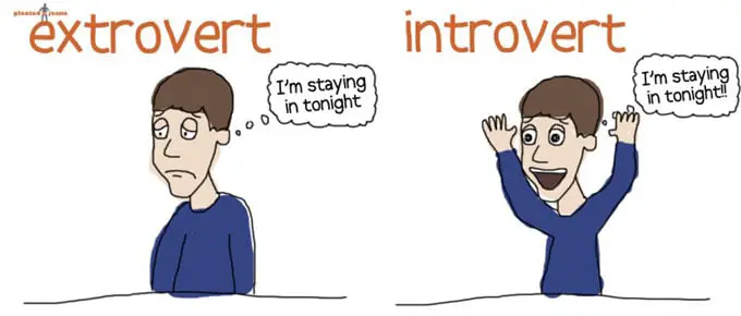 introvert vs extrovert eye contact conscious vibe Why Do You Avoid Eye Contact: 13 Tips To Help