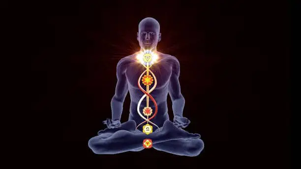 kundalini energy the conscious vibe activation snake chakra symbolism serpent meaning Symbolism, Meaning, and Origin of The Serpent 