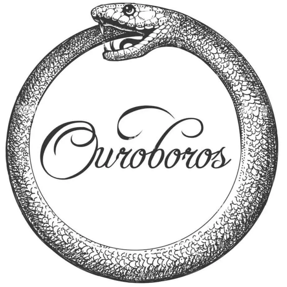 snake meaning symbolism tattoo of ouroboros snake ancient esoteric symbol drawn in engraving style isolated on white vector tattoo 2HT5W4T edited Symbolism, Meaning, and Origin of The Serpent 