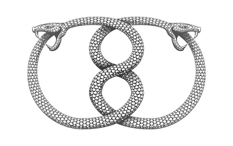 snake serpent symbolic origin dragon serpentine origin symbolism meaning the conscious vibe Symbolism, Meaning, and Origin of The Serpent 